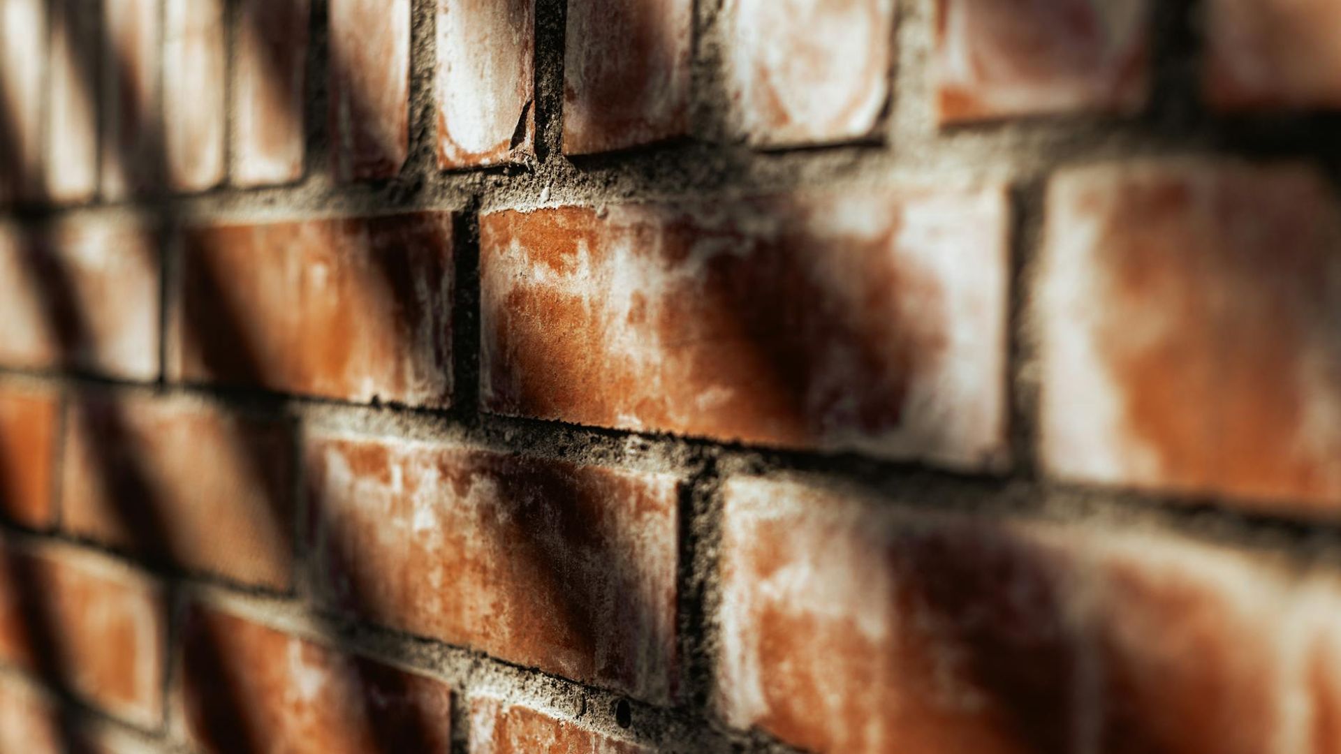 Abstract light grey texture background.